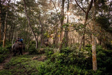 USAID Measuring Impact Conservation Enterprise Retrospective (Nepal; National Trust for Nature Conservation) (40301076241)