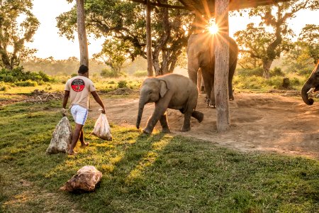 USAID Measuring Impact Conservation Enterprise Retrospective (Nepal; National Trust for Nature Conservation) (40300992631)