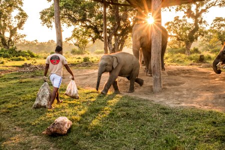 USAID Measuring Impact Conservation Enterprise Retrospective (Nepal; National Trust for Nature Conservation) (40300992631) photo