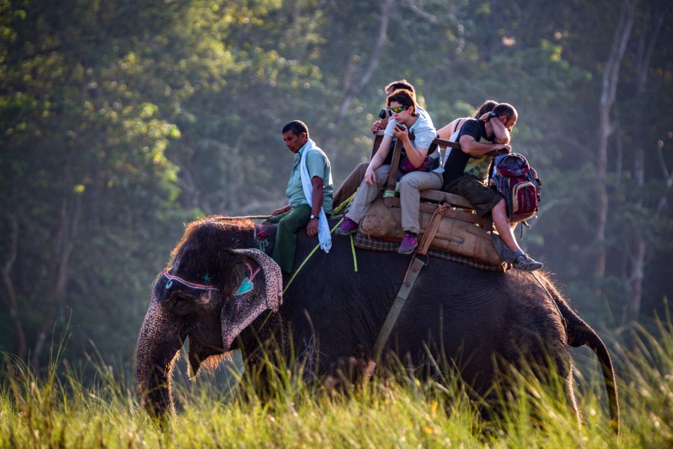 USAID Measuring Impact Conservation Enterprise Retrospective (Nepal; National Trust for Nature Conservation) (40300964041)