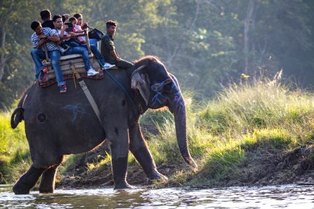 USAID Measuring Impact Conservation Enterprise Retrospective (Nepal; National Trust for Nature Conservation) (40300966231)