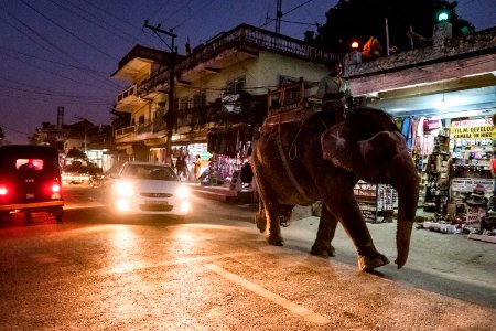 USAID Measuring Impact Conservation Enterprise Retrospective (Nepal; National Trust for Nature Conservation) (40256342552)