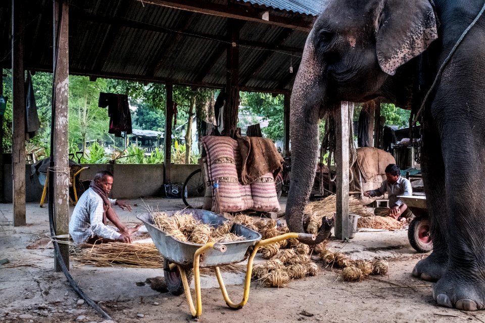 USAID Measuring Impact Conservation Enterprise Retrospective (Nepal; National Trust for Nature Conservation) (40256358032)