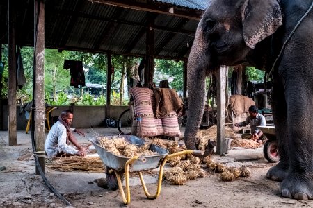 USAID Measuring Impact Conservation Enterprise Retrospective (Nepal; National Trust for Nature Conservation) (40256358032)