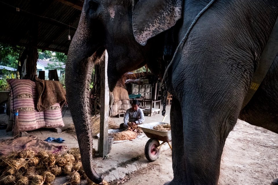 USAID Measuring Impact Conservation Enterprise Retrospective (Nepal; National Trust for Nature Conservation) (40256367242)