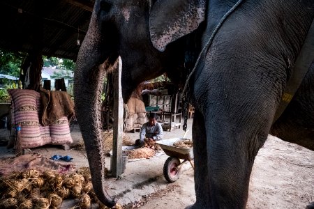 USAID Measuring Impact Conservation Enterprise Retrospective (Nepal; National Trust for Nature Conservation) (40256367242)