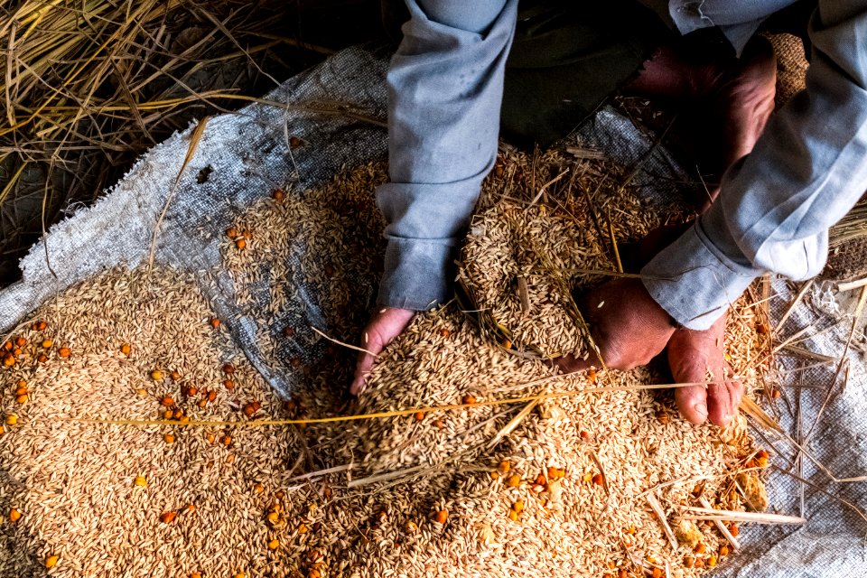 USAID Measuring Impact Conservation Enterprise Retrospective (Nepal; National Trust for Nature Conservation) (40256373092)