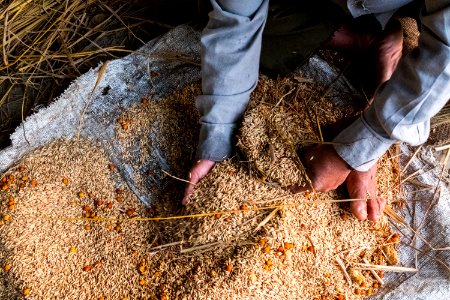 USAID Measuring Impact Conservation Enterprise Retrospective (Nepal; National Trust for Nature Conservation) (40256373092)