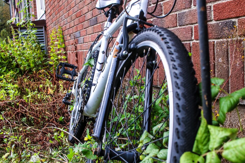 Bicycle leaf autumn