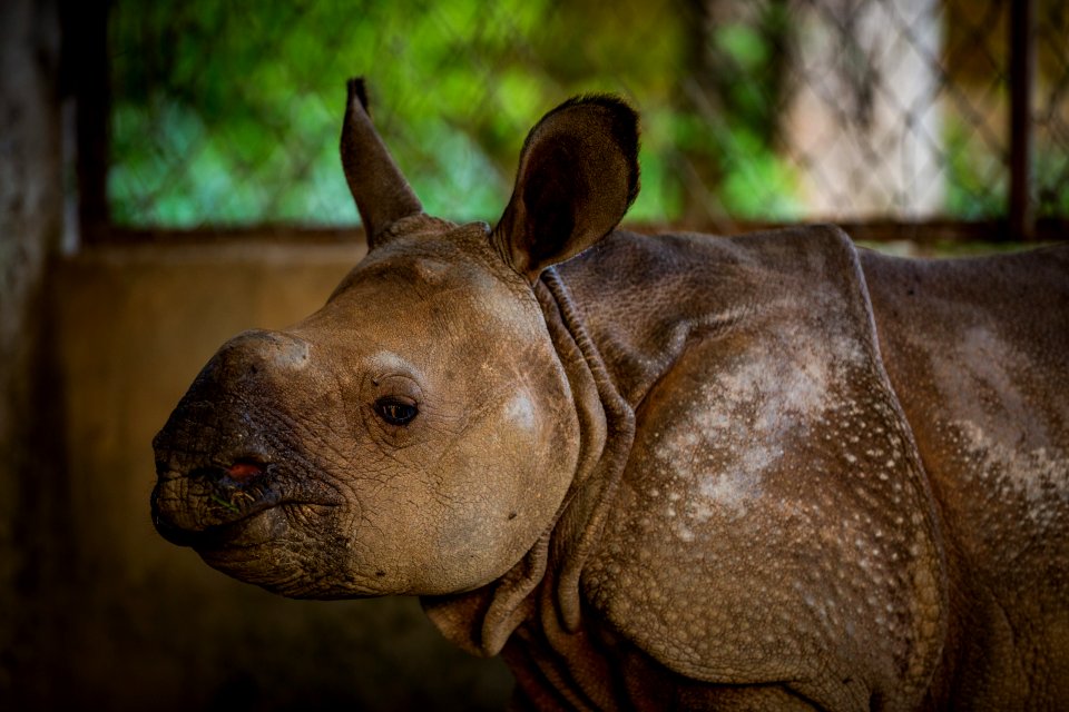 USAID Measuring Impact Conservation Enterprise Retrospective (Nepal; National Trust for Nature Conservation) (40256157102)