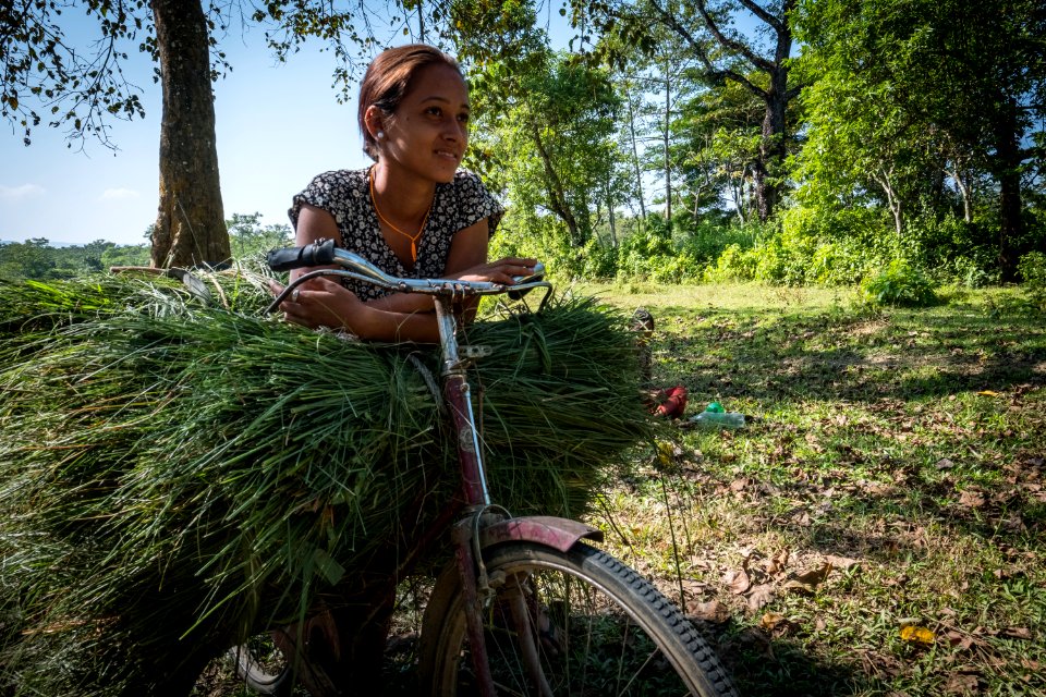 USAID Measuring Impact Conservation Enterprise Retrospective (Nepal; National Trust for Nature Conservation) (40256240282)