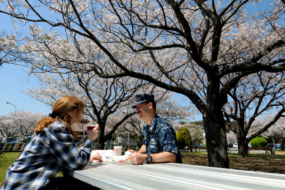 US Navy 110413-N-SF508-082 Master Chief Electrician's Mate Michael Gebhart, enjoys lunch with his wife under cherry blossom trees at Commander Flee