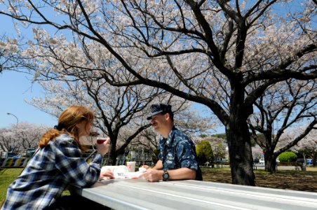 US Navy 110413-N-SF508-082 Master Chief Electrician's Mate Michael Gebhart, enjoys lunch with his wife under cherry blossom trees at Commander Flee
