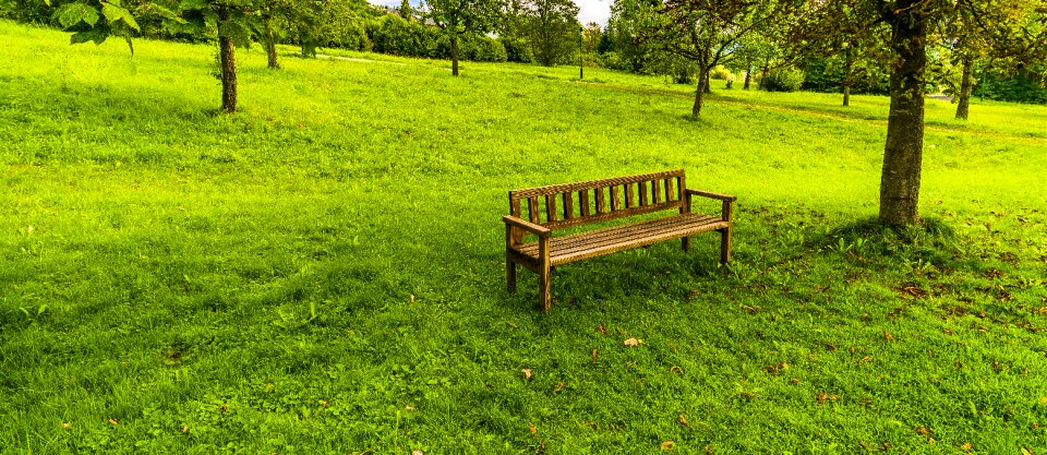Wooden bench park bench seat photo