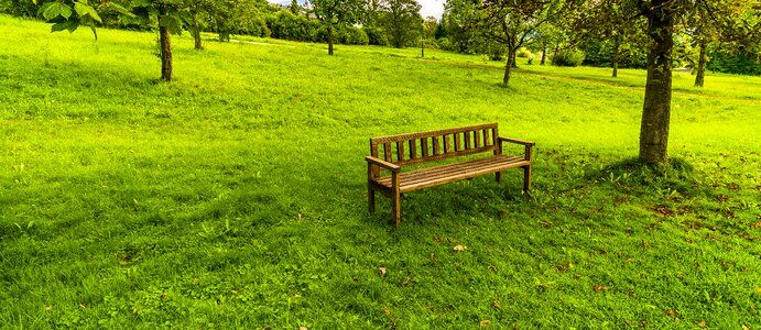 Wooden bench park bench seat