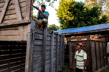 USAID Measuring Impact Conservation Enterprise Retrospective (Nepal; National Trust for Nature Conservation) (40256150762)