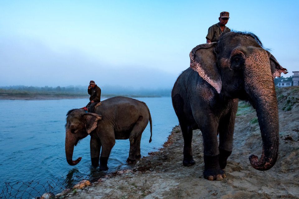USAID Measuring Impact Conservation Enterprise Retrospective (Nepal; National Trust for Nature Conservation) (39589525844)