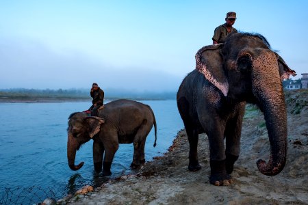 USAID Measuring Impact Conservation Enterprise Retrospective (Nepal; National Trust for Nature Conservation) (39589525844)