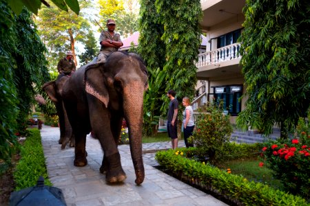 USAID Measuring Impact Conservation Enterprise Retrospective (Nepal; National Trust for Nature Conservation) (39589530984)