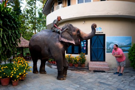 USAID Measuring Impact Conservation Enterprise Retrospective (Nepal; National Trust for Nature Conservation) (39589528044)