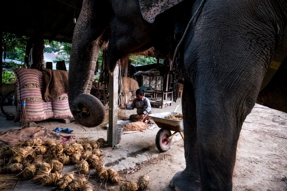 USAID Measuring Impact Conservation Enterprise Retrospective (Nepal; National Trust for Nature Conservation) (39403993355)