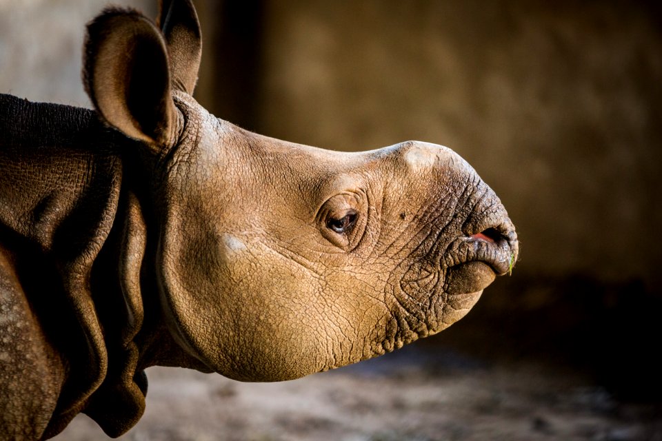 USAID Measuring Impact Conservation Enterprise Retrospective (Nepal; National Trust for Nature Conservation) (39589519544)