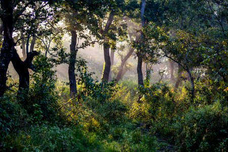 USAID Measuring Impact Conservation Enterprise Retrospective (Nepal; National Trust for Nature Conservation) (39589354184)