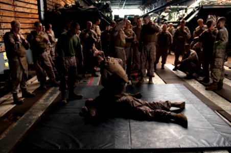 US Navy 110426-N-QP268-022 Marines assigned to the 22nd Marine Expeditionary Unit (22nd MEU) practice arm take down movements in the well deck of photo