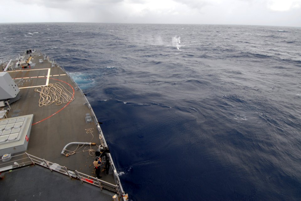 US Navy 110503-N-ZI300-089 A Sailor aboard the guided-missile destroyer USS Nitze (DDG 94) fires a .50-caliber machine gun at a target during the A