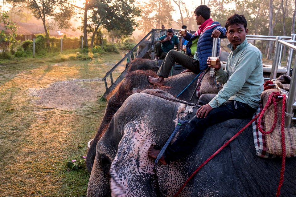 USAID Measuring Impact Conservation Enterprise Retrospective (Nepal; National Trust for Nature Conservation) (39589341574)