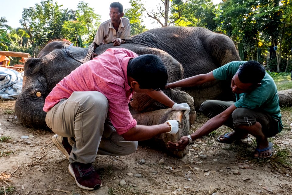 USAID Measuring Impact Conservation Enterprise Retrospective (Nepal; National Trust for Nature Conservation) (39403777385)