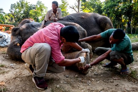 USAID Measuring Impact Conservation Enterprise Retrospective (Nepal; National Trust for Nature Conservation) (39403777385)