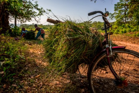USAID Measuring Impact Conservation Enterprise Retrospective (Nepal; National Trust for Nature Conservation) (39403904575)
