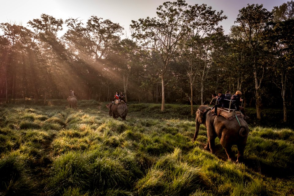 USAID Measuring Impact Conservation Enterprise Retrospective (Nepal; National Trust for Nature Conservation) (39403685055)