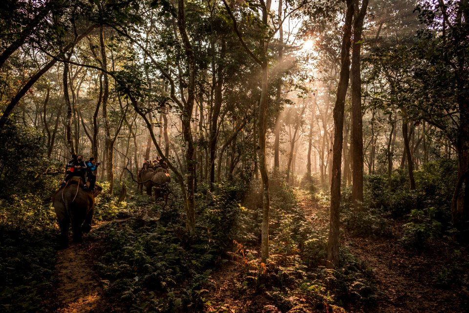 USAID Measuring Impact Conservation Enterprise Retrospective (Nepal; National Trust for Nature Conservation) (39403689955)