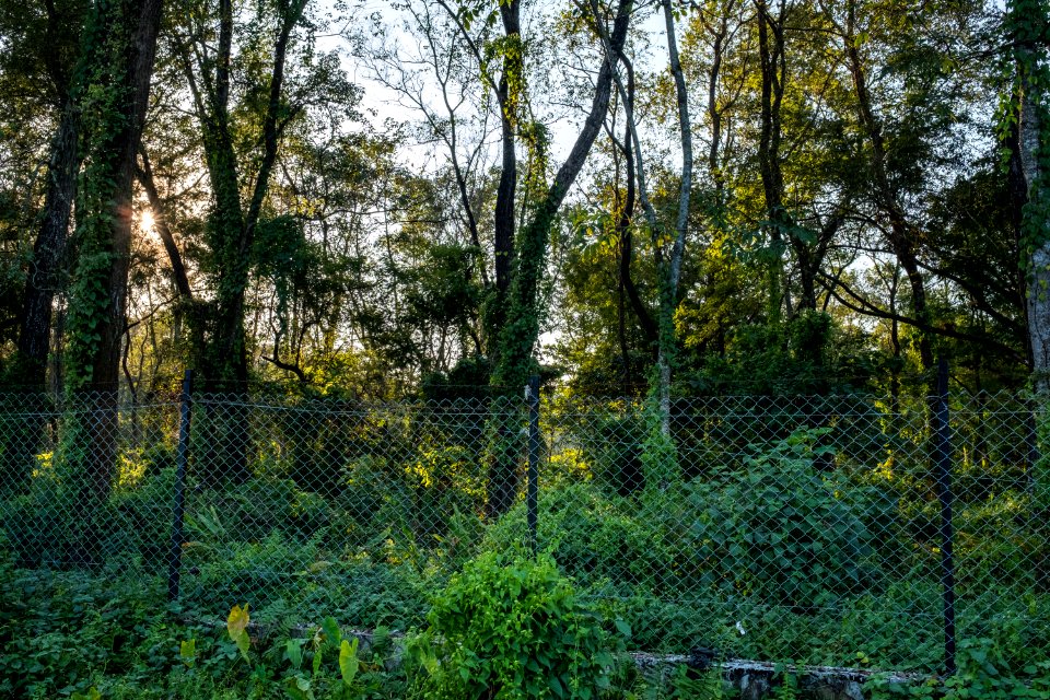 USAID Measuring Impact Conservation Enterprise Retrospective (Nepal; National Trust for Nature Conservation) (38492311910)