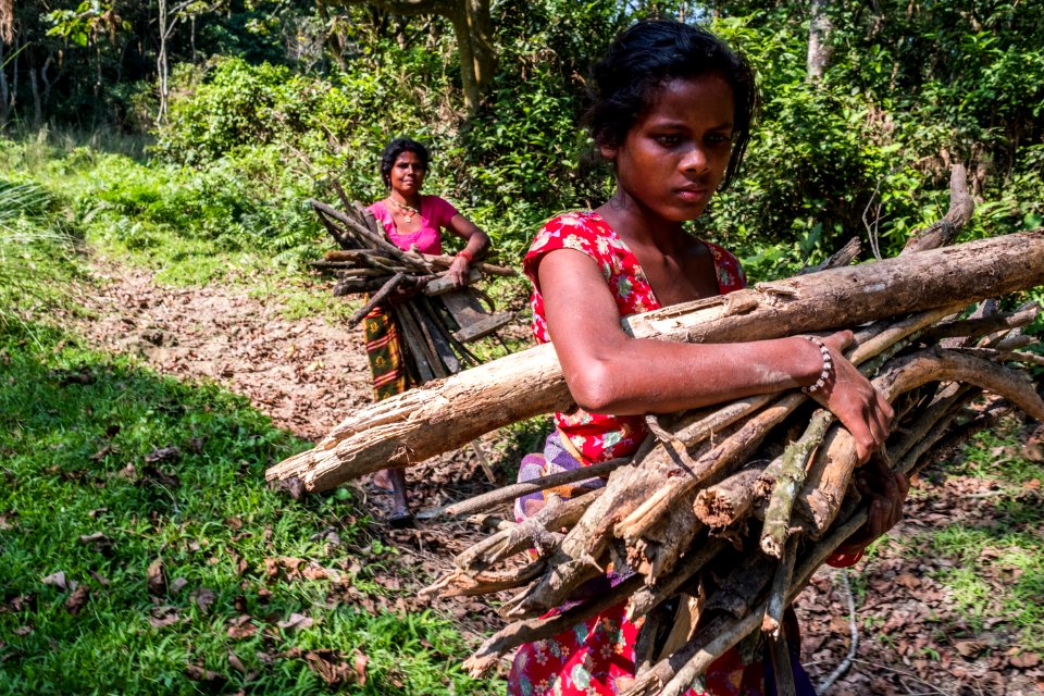 USAID Measuring Impact Conservation Enterprise Retrospective (Nepal; National Trust for Nature Conservation) (39403487645)