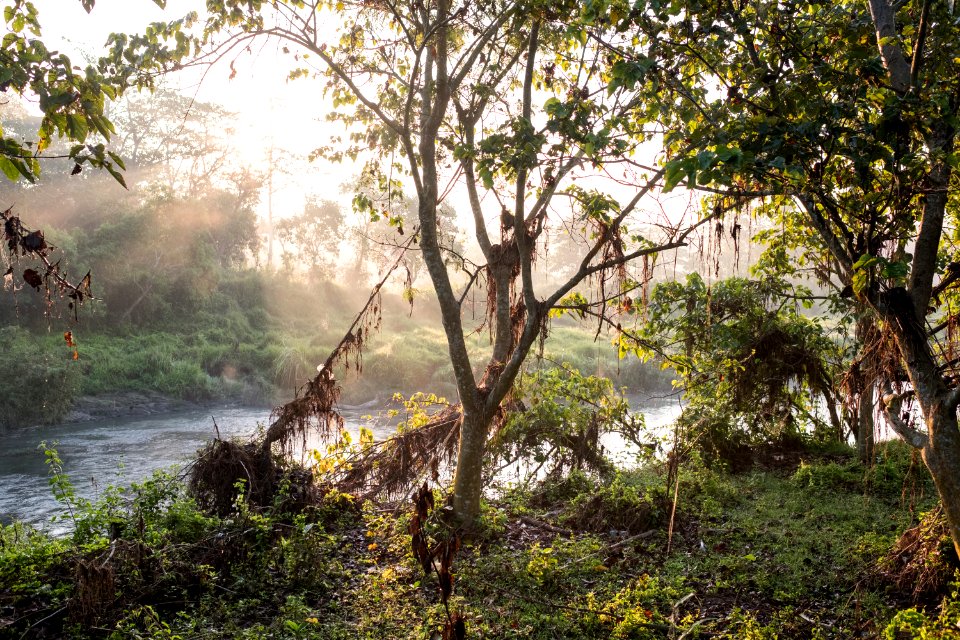 USAID Measuring Impact Conservation Enterprise Retrospective (Nepal; National Trust for Nature Conservation) (38492065810)