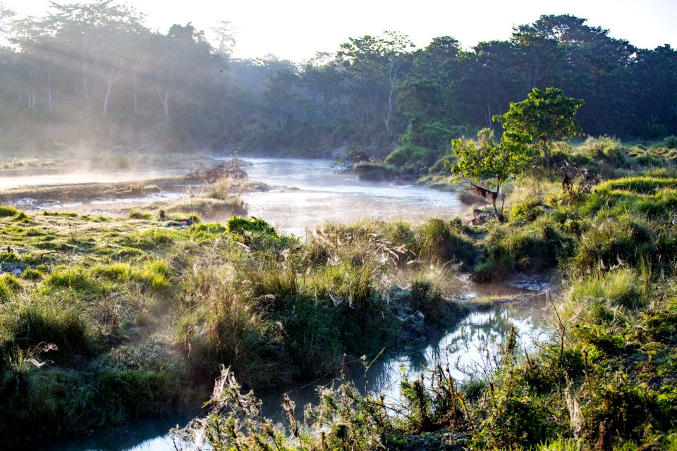 USAID Measuring Impact Conservation Enterprise Retrospective (Nepal; National Trust for Nature Conservation) (38492069260)