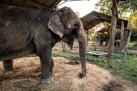 USAID Measuring Impact Conservation Enterprise Retrospective (Nepal; National Trust for Nature Conservation) (38491757510)