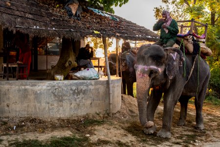 USAID Measuring Impact Conservation Enterprise Retrospective (Nepal; National Trust for Nature Conservation) (26429235438)