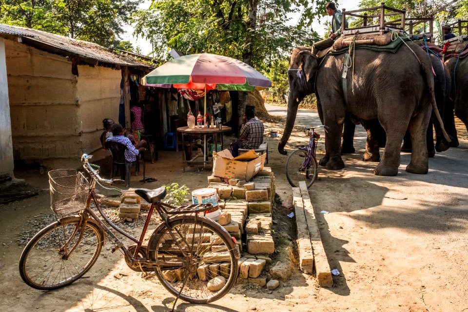 USAID Measuring Impact Conservation Enterprise Retrospective (Nepal; National Trust for Nature Conservation) (38491542850)