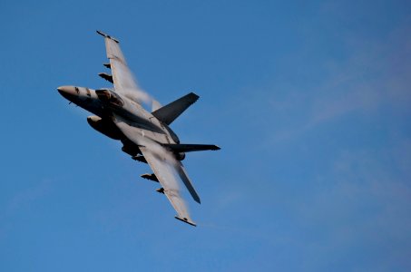 US Navy 110531-N-DR144-569 An F-A-18E Super Hornet assigned to Strike Fighter Squadron (VFA) 81 banks over the Nimitz-class aircraft carrier USS Ca