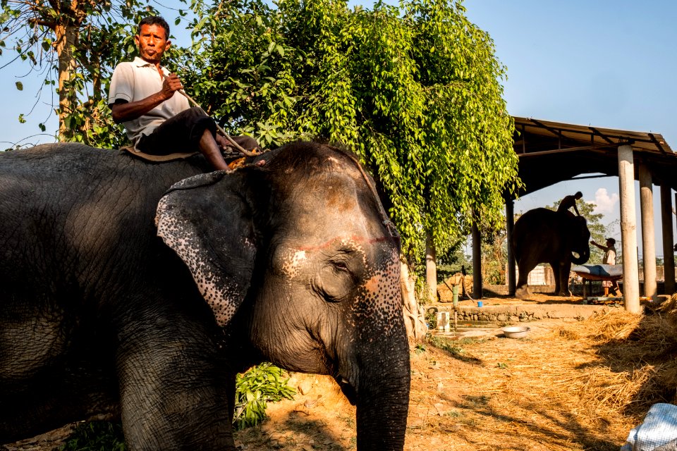 USAID Measuring Impact Conservation Enterprise Retrospective (Nepal; National Trust for Nature Conservation) (26428822978)