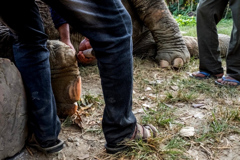USAID Measuring Impact Conservation Enterprise Retrospective (Nepal; National Trust for Nature Conservation) (26428843518)