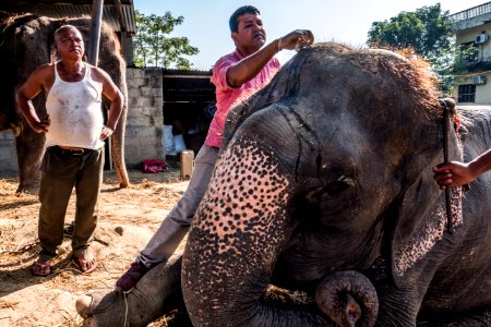 USAID Measuring Impact Conservation Enterprise Retrospective (Nepal; National Trust for Nature Conservation) (26428817538)