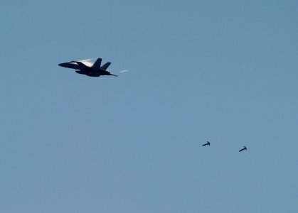 US Navy 110603-N-DR144-023 An F-A-18C Hornet drops inert ordnance alongside USS Carl Vinson (CVN 70) during an air power demonstration