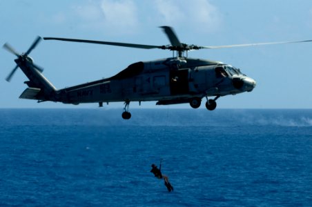 US Navy 110603-N-MD252-393 A search and rescue swimmer is deployed from an SH-60F Sea Hawk helicopter during an air power demonstration over USS Ca