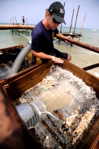 US Navy 110602-N-VF350-093 Navy Diver 1st Class James Asmussen, assigned to Mobile Diving and Salvage Unit (MDSU) 1, screens sediment retrieved fro