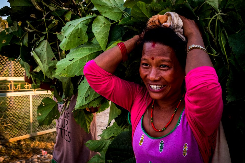 USAID Measuring Impact Conservation Enterprise Retrospective (Nepal; National Trust for Nature Conservation) (25430500427)